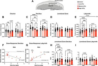 Paternal alcohol exposures program intergenerational hormetic effects on offspring fetoplacental growth